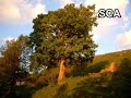 My Beautiful Abbottabad