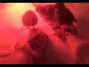 Chicks