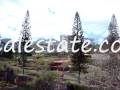 COSTA RICA RENTALS - COSTA RICA REAL ESTATE - TROPIC REAL ESTATE