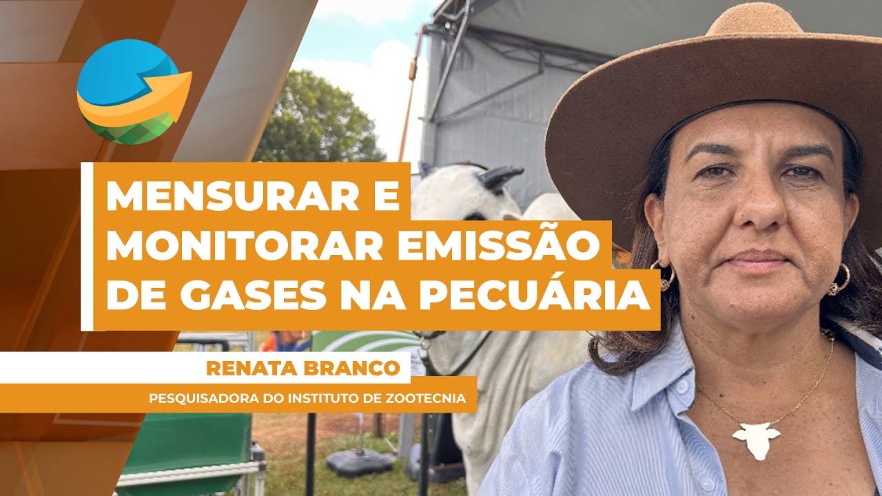Pesquisa do Instituto de Zootecnia visa mensurar e monitorar emissão de gases na pecuária bovina
