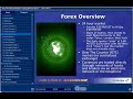 Forex Bonus Module: Trading & Forex Basics