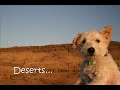Postcards from Mr. Pish Book Trailer