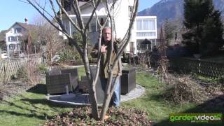 #229 Gardening videos by Lubera and Markus Kobelt 