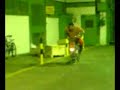biker in the arbed