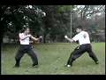 videos de Kung Fu Doze Punhos, tigre,garça, leopardo, águia, serpente.