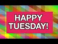 HAPPY TUESDAY! Free Funny Greetings Cards - Flash Animation