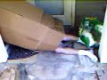 \"race car\" box
