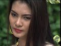 nittaya x264 4