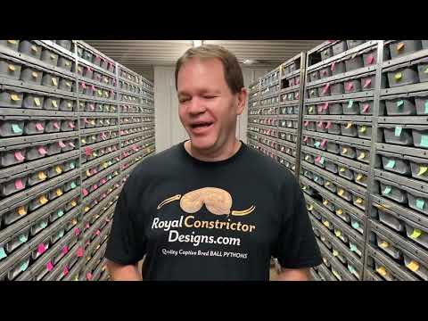 YouTube reptile video