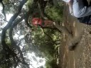 en la montaña de napa
