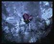 M-People-Testify-Sky