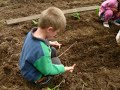 Room 4 works on their garden