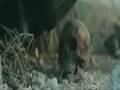 TERMINATER 4 SALVATION TRAILER FULL HD VERSION HIGH QUALITY