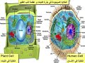 Ø³ÙŠØ¹ÙˆØ¯ Ø§Ù„ØµÙˆØª Ø¨Ø¹Ø¯ Ø¯Ù‚ÙŠÙ‚ØªÙŠÙ† Ù...Ù† Ø¨Ø¯Ø§ÙŠØ© Ø§Ù„ÙÙŠØ¯ÙŠÙˆwww.quran-miracle.com