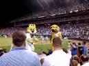 Royals Game 5