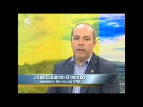 Assessor técnico da CNA fala sobre consumo de frutas no Brasil