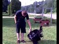 Michael Tickles the Turkey