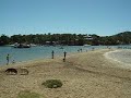 dog beach, pittwater, sydney dog beach, pittwater, sydney