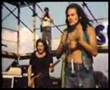P.Mobil koncert