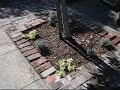 121B Santa Fe Ave 2009-10.18