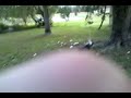 video-2009-12-31-17-31-38