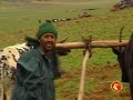 Baye Speedy - filfilu - YE WOLLO LIJ - DAMTEW AYALEW Baye Speedy - filfilu - YE WOLLO LIJ - DAMTEW AYALEW