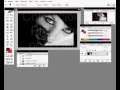 Coloracion en Photoshop