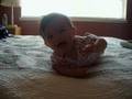 Lily-lou on the bed