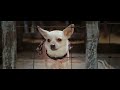 Beverly Hills Chihuahua