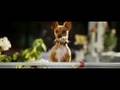  - MovieZen Video