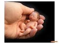 bimbi-piccoli.html