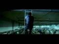 Orishas - Hazme Caso / Cube (Anuncio Seat Ibiza)