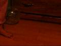 Hamster Spinning Hamster Spinning