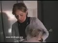 Esrellan un perro de 1Kg contra la pared