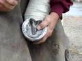 KY Derby Day Shoeing 2008