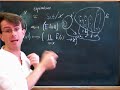 Adjunctions from morphisms 2