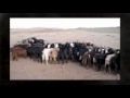 Give a Goat