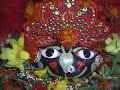 MEDITATIONS ON KRISHNA PREMA (LOVE OF kRISHNA)