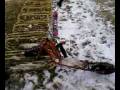videos de Trashing Drew's Scooter Part 1