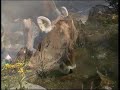 Vacanze all'Hotel Villa Mozart - Pozza di Fassa - Dolomiti