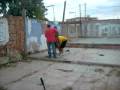 PAPILO PAL POTE