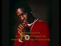 Akon Ray L[avender] - Fall In Love
