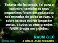 videos de Naum - Capítulo 3