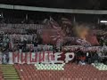 Zvezda - Hajduk Kula 1:2, 10.12.2008.