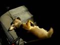 Dog Scratching Madness