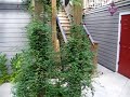concrete-faux-newlook-brush-blending.html