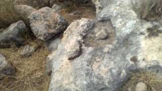 قرية جراش المهجرة.wmv قرية جراش المهجرة.wmv