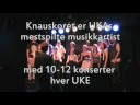 Hva er Knauskoret?