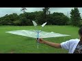 Motion of webbed feet in Pteranodon5-5V RC Ornithoptor Motion of webbed feet in Pteranodon5-5V RC Ornithoptor