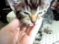videos de Claire
